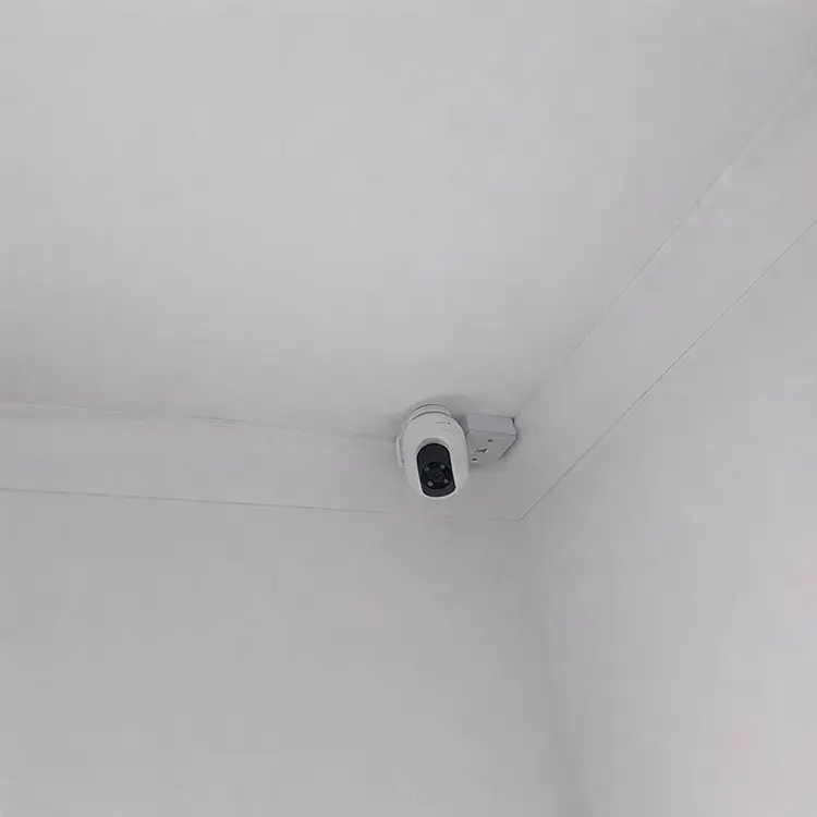 Compact PTZ security camera mounted in ceiling corner of residential property in Dulwich SE22